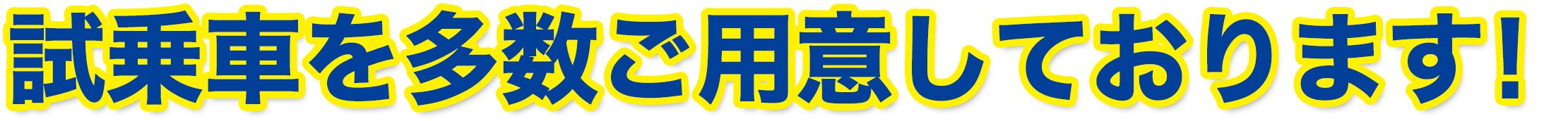 試乗車を多数ご用意しております