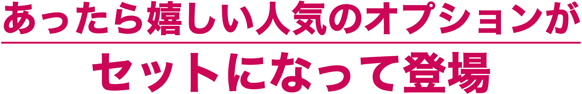 あったら嬉しい人気のオプションがセットになって登場！